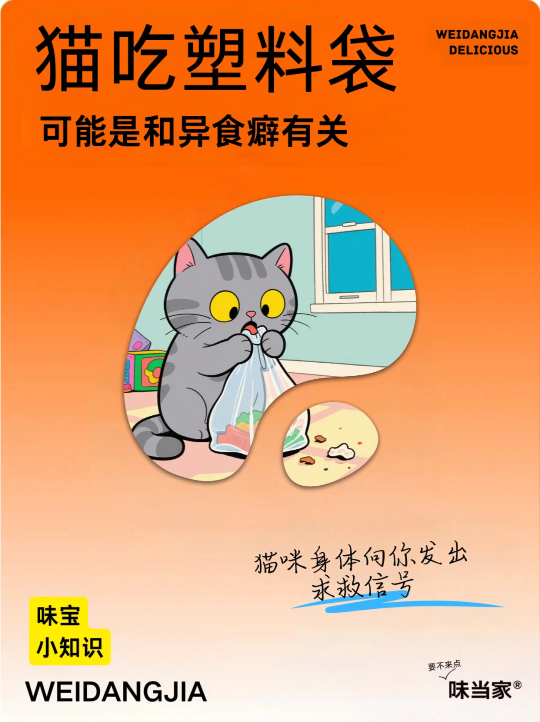 猫吃塑料袋，可能是和异食癖有关