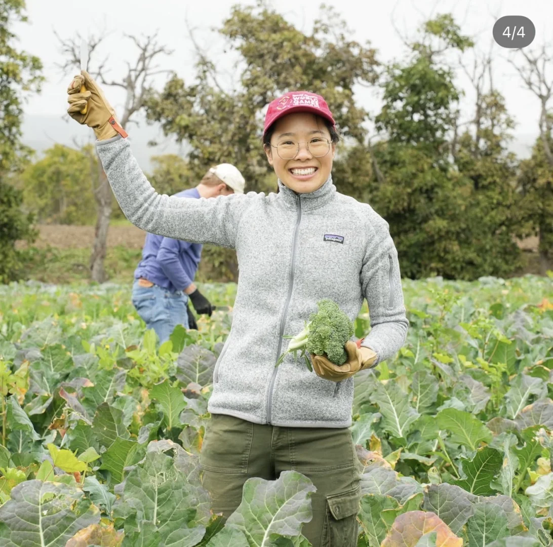 下周六和市长一起做义工|CAC俱乐部义工招募