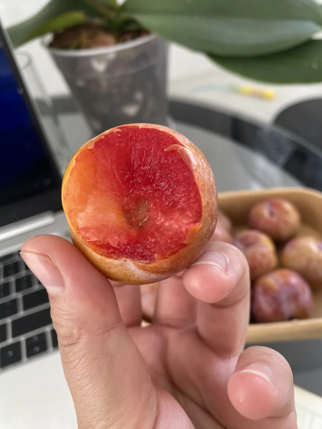 自己种超甜，想吃就吃