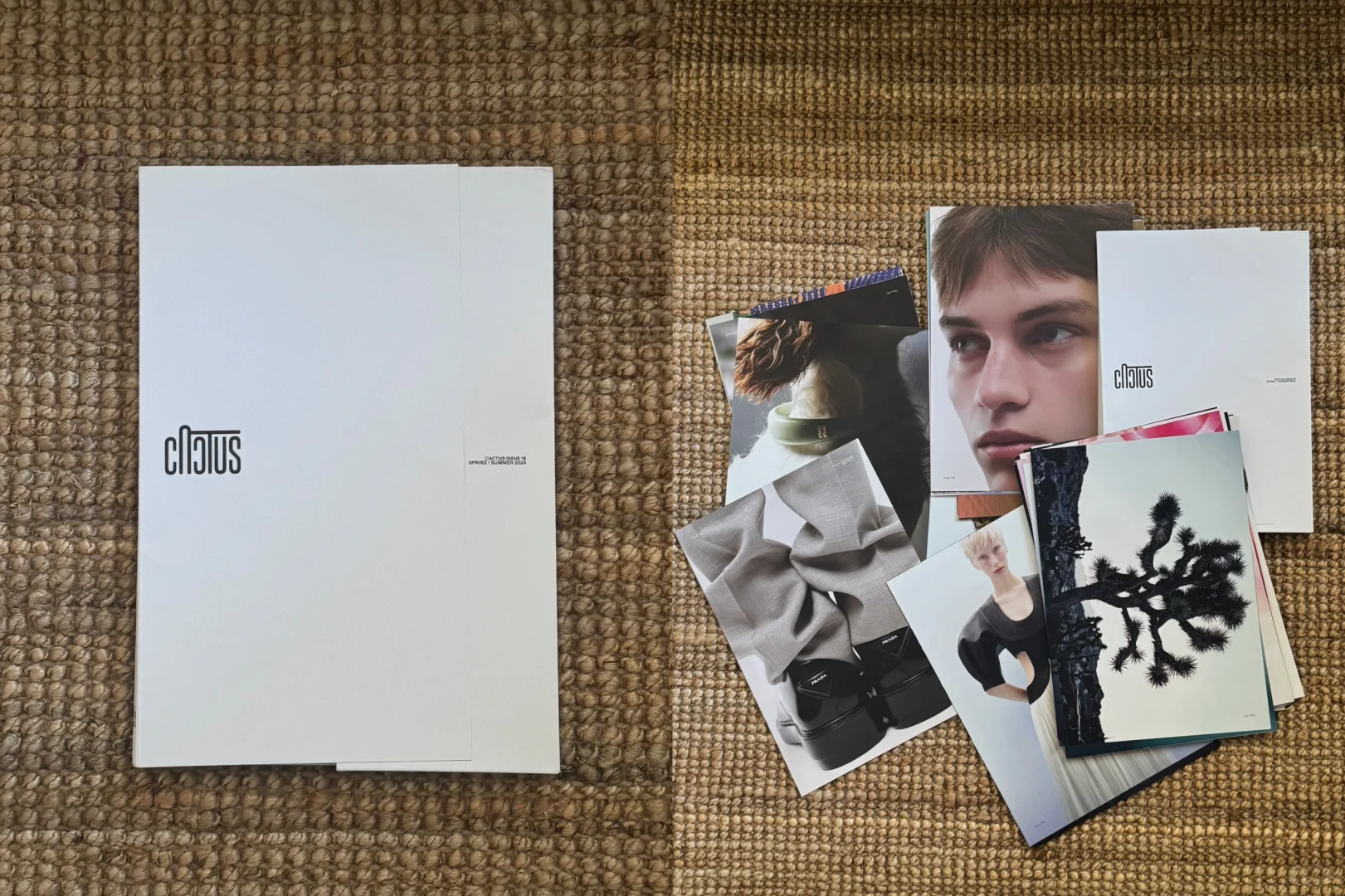 分享近期购入的小众时尚杂志