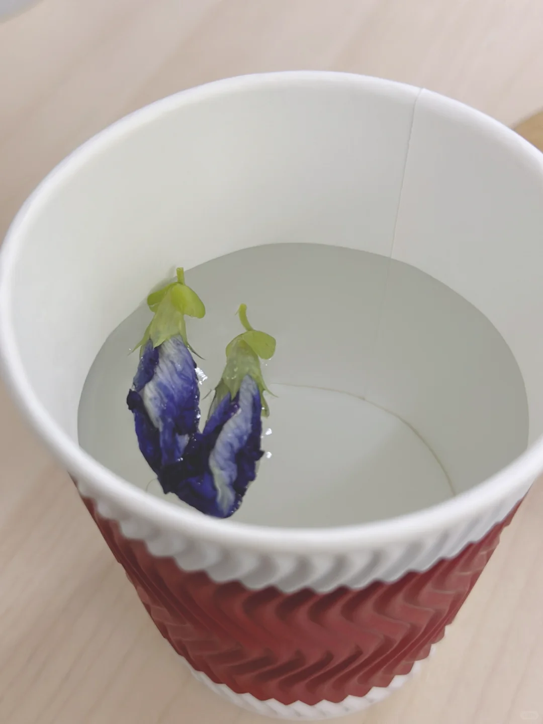 有花园的意义就在此刻了吧～丰收季节