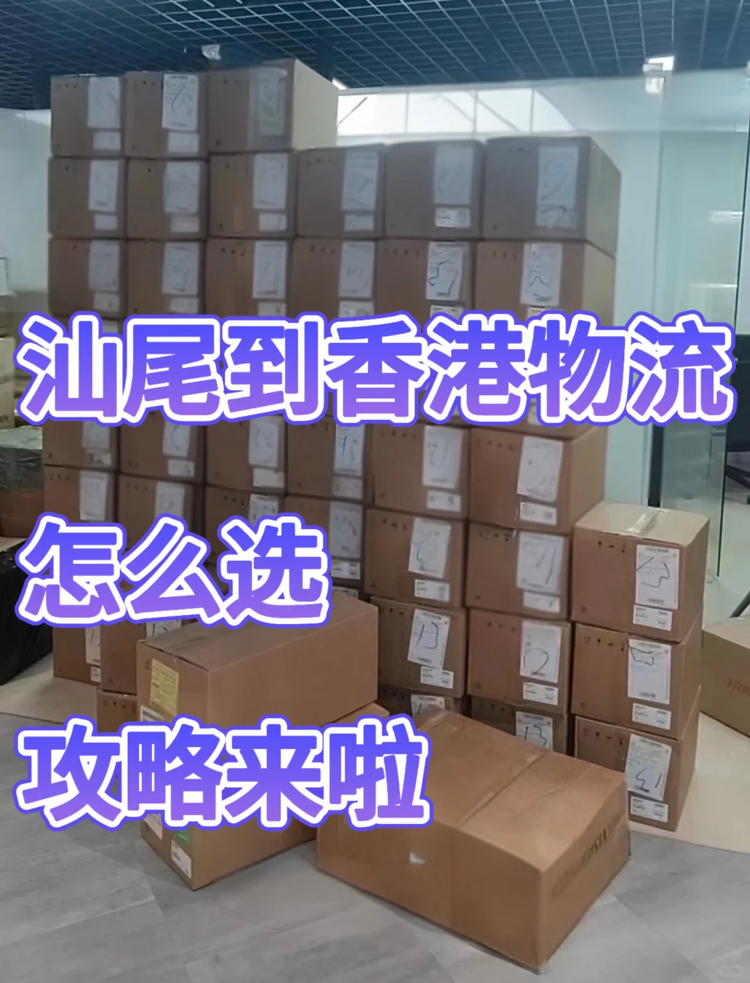 汕尾到香港物流 怎么选 攻略来啦