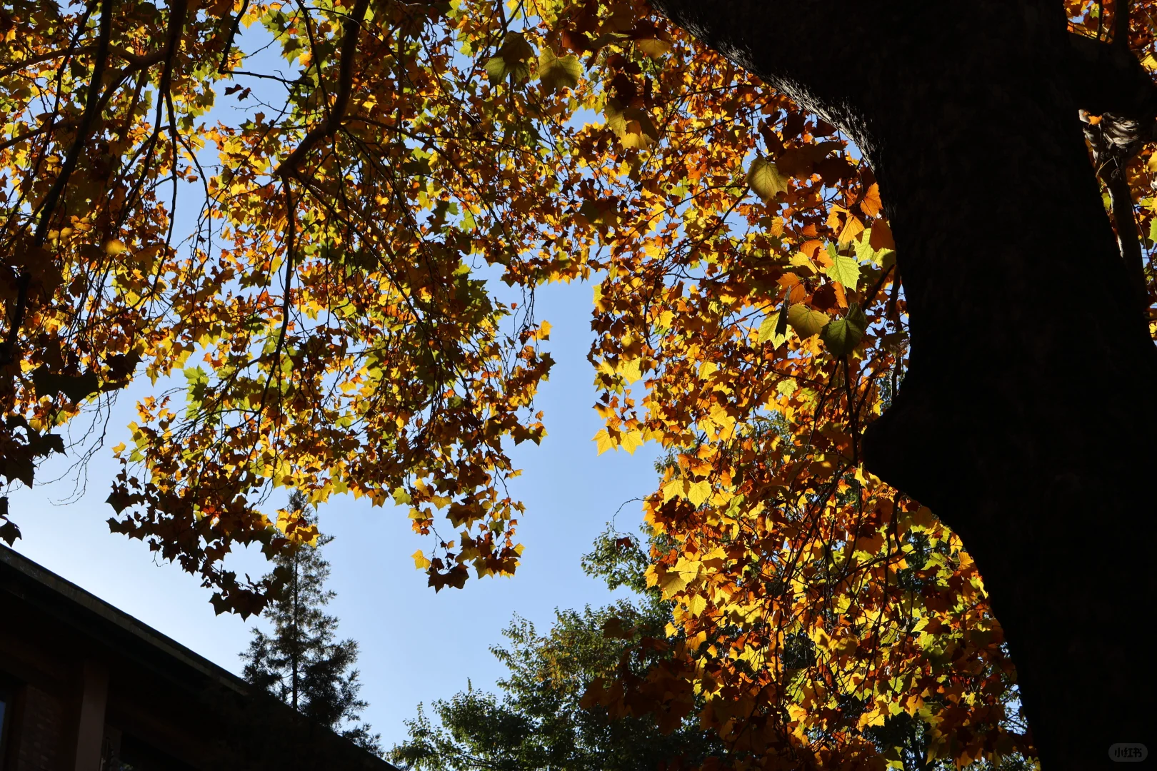 请回答2⃣️0⃣️2⃣️3⃣️（右滑）