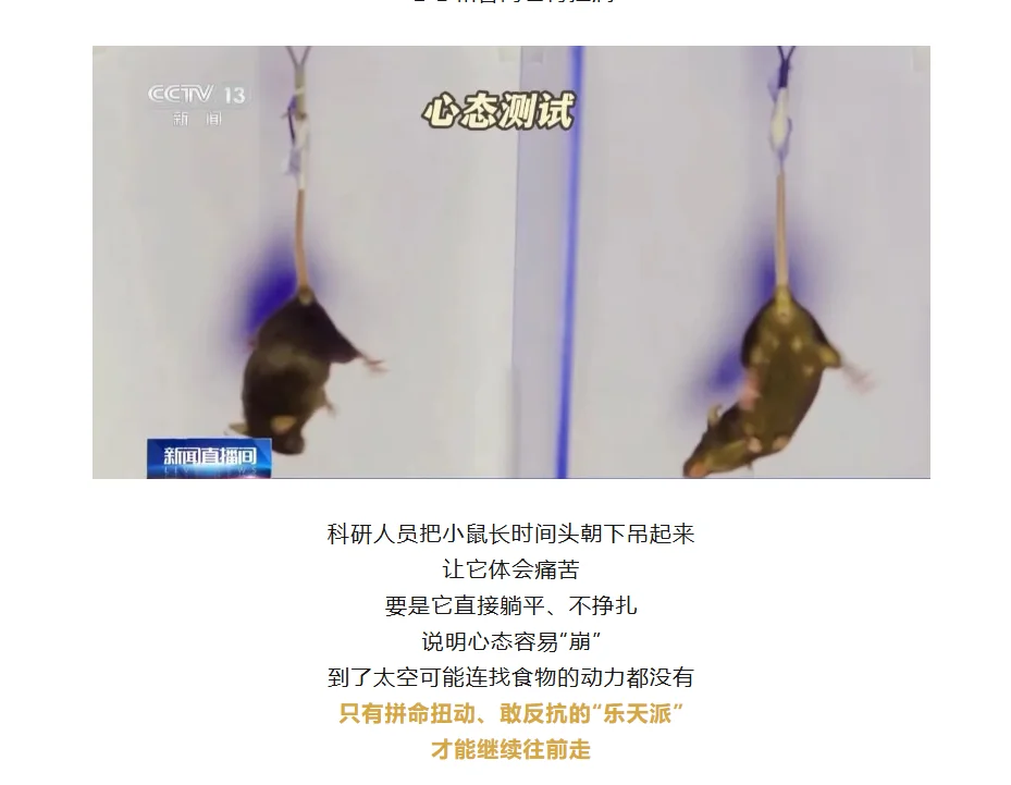 带“C57小鼠”上太空!神舟二十一号!