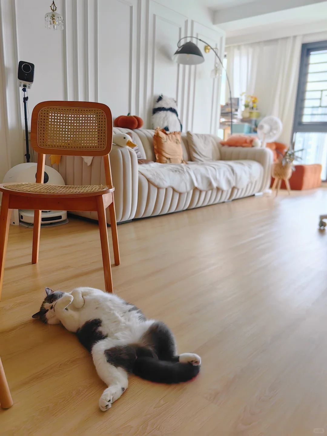 舍弃电视柜，3.95米开间的客厅改成了图书馆