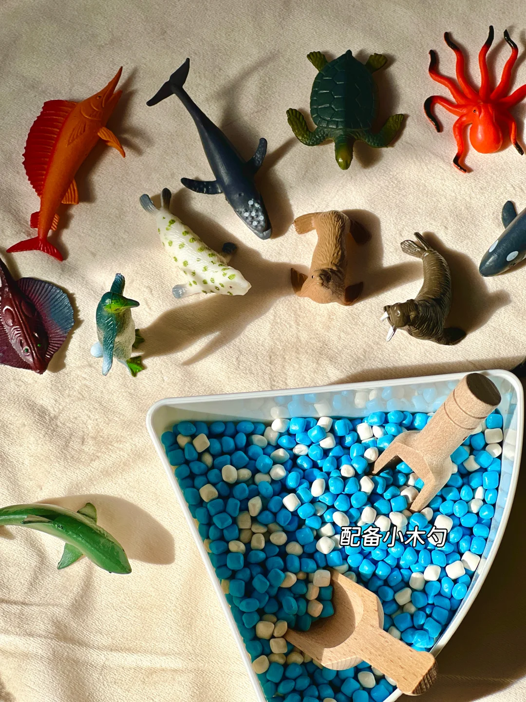 早教感官盆！陪宝宝快乐过家家~