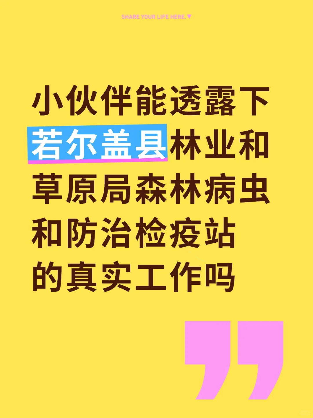 孩子实在是想去若尔盖吃苦