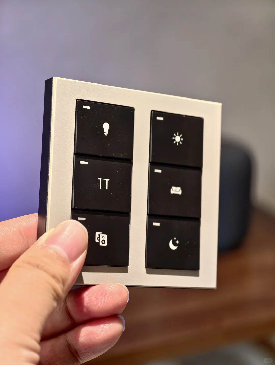 ?住了4个月｜全屋智能的Ipad上墙真的好