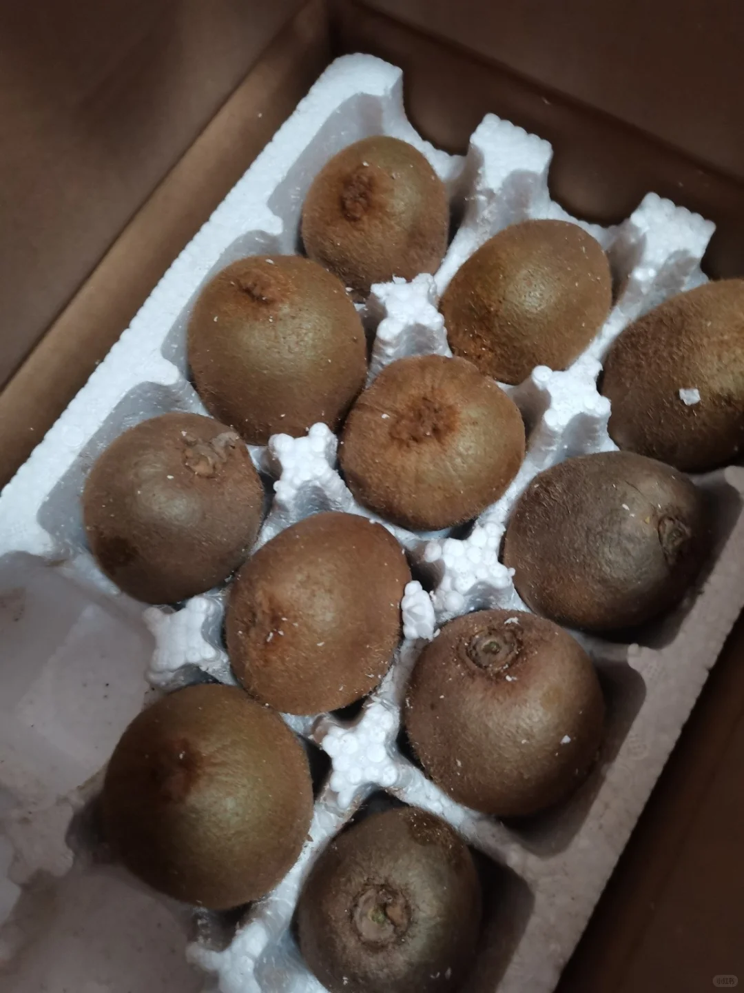 种树真的好快乐