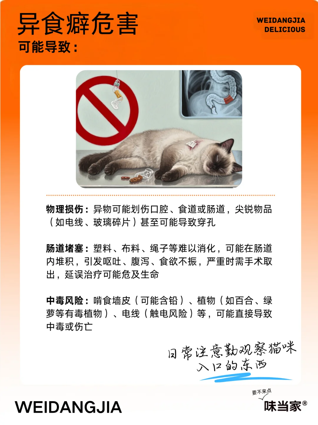 猫吃塑料袋，可能是和异食癖有关