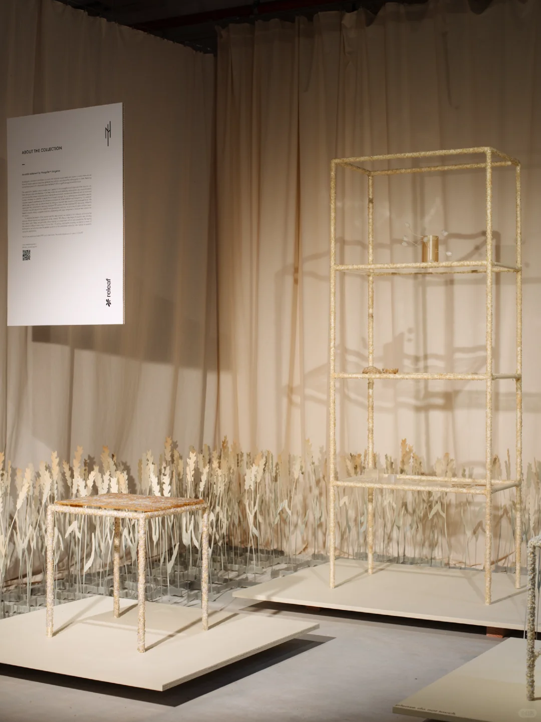 植物基塑料:由植物糖或农业废料制成