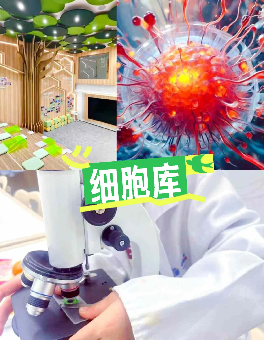 广州遛娃‖11月必去的11个工厂/附保姆级攻