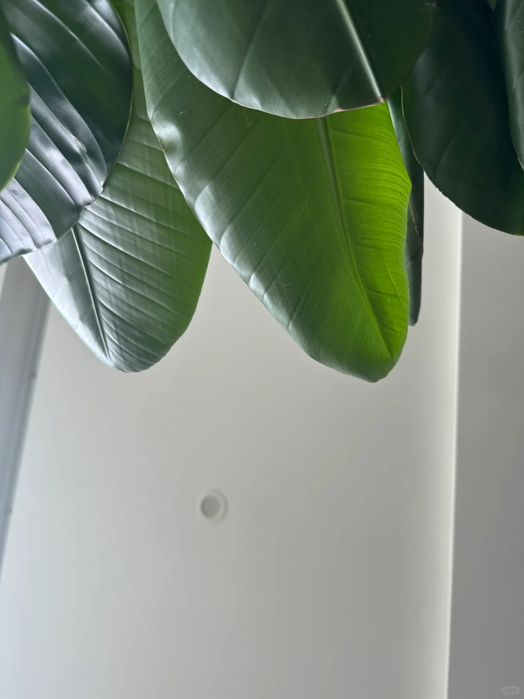 蔬菜、水果和植物～