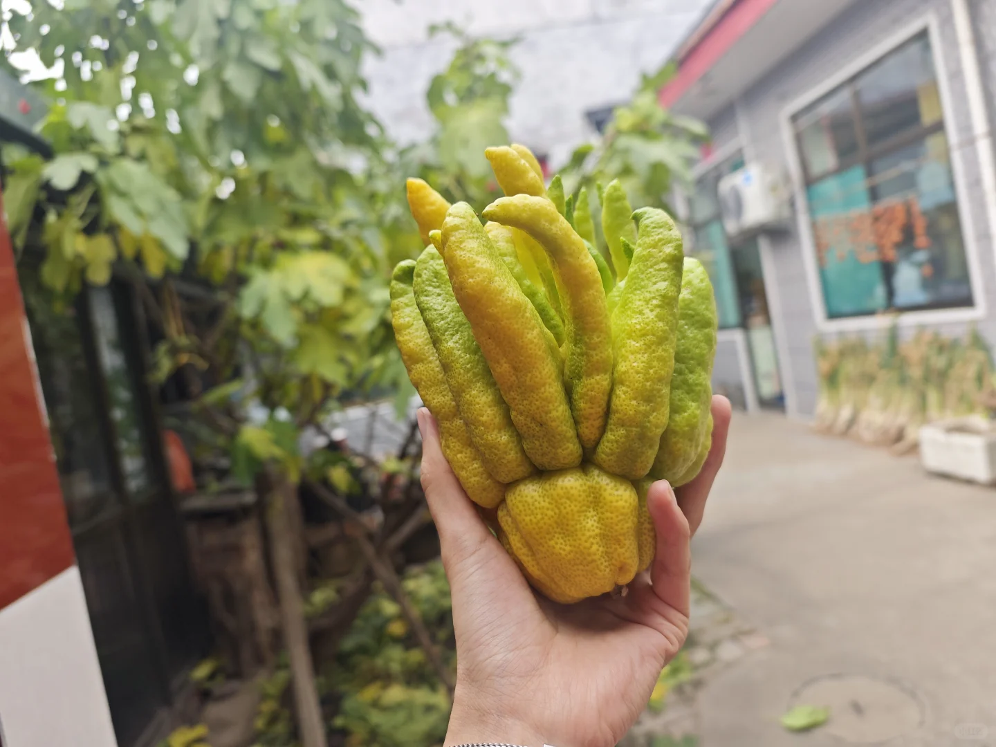 不错不错，晒个单