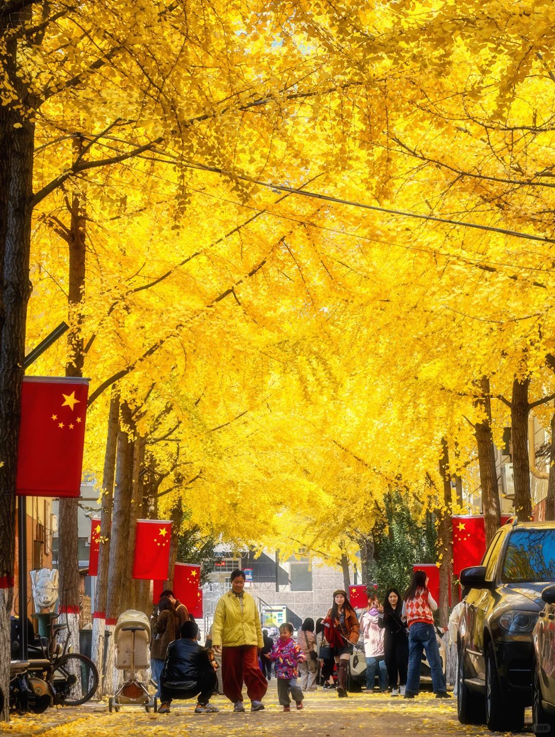 11.4太原老军营银杏?实拍❗（附攻略）