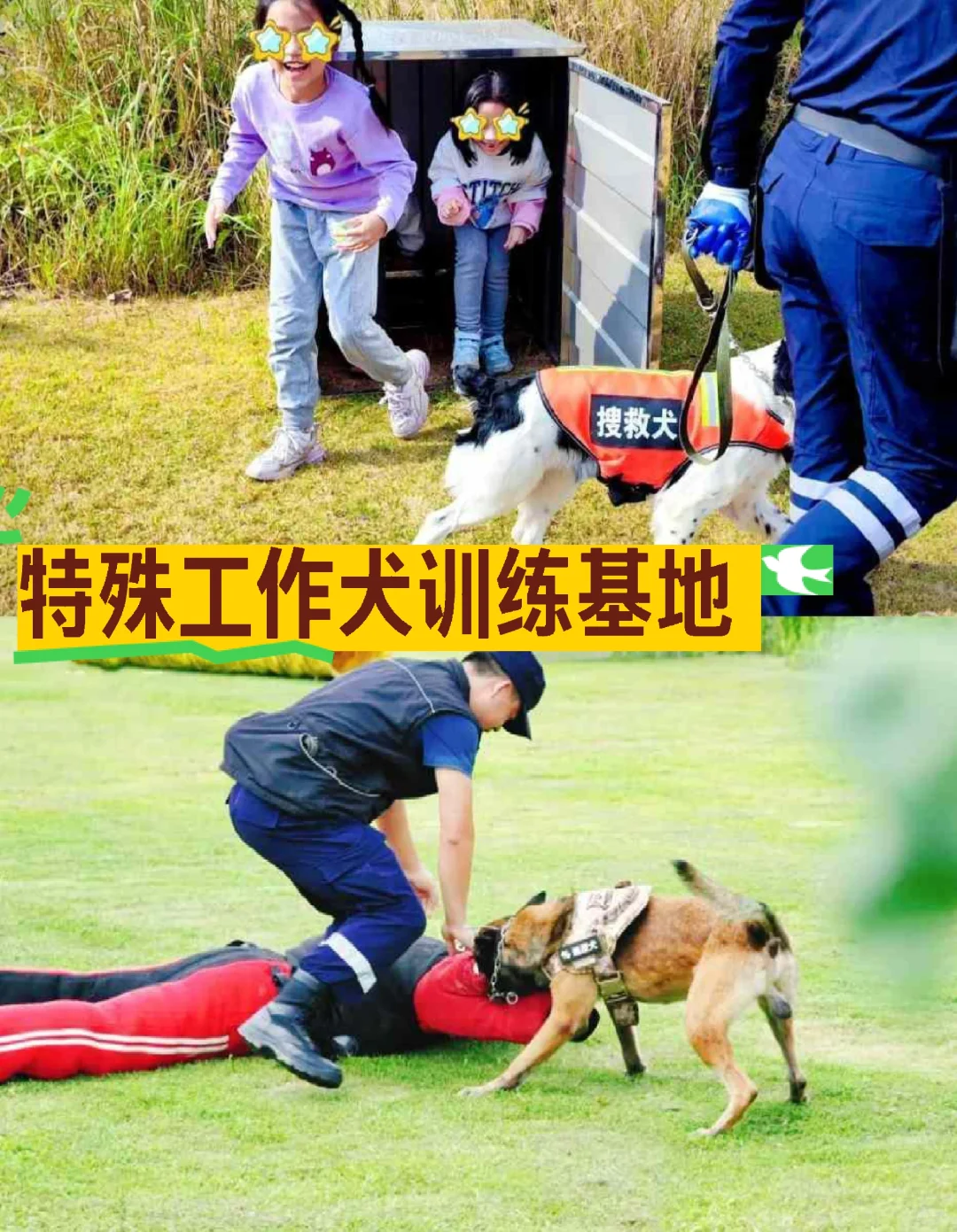 广州遛娃‖11月必去的11个工厂/附保姆级攻