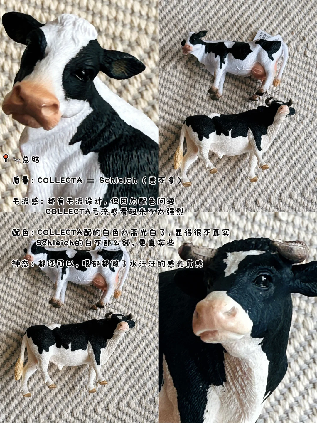 测评|Schleich和COLLECTA的仿真动物模型