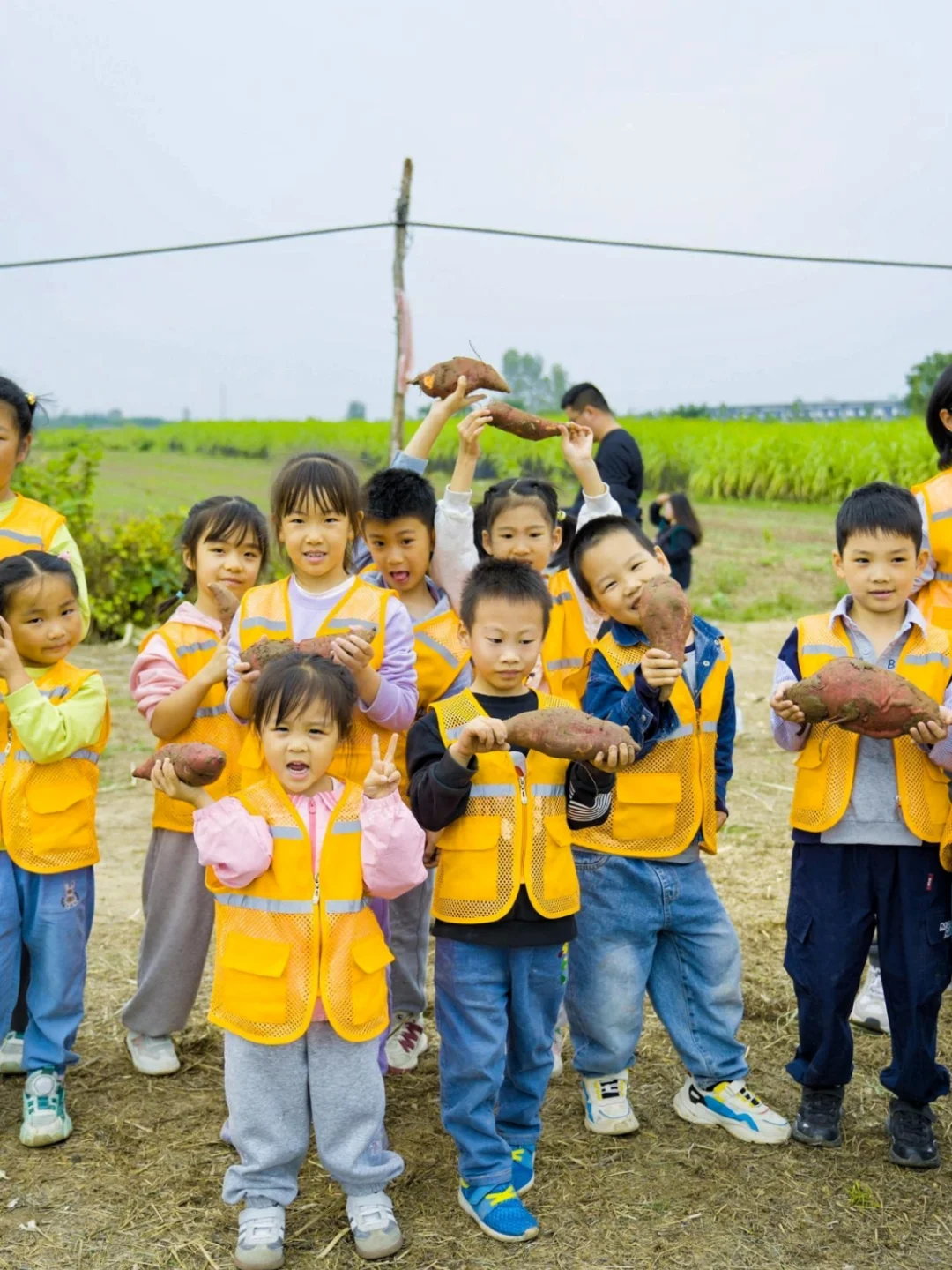 周末遛娃??砍甘蔗、挖红薯、做糖葫芦
