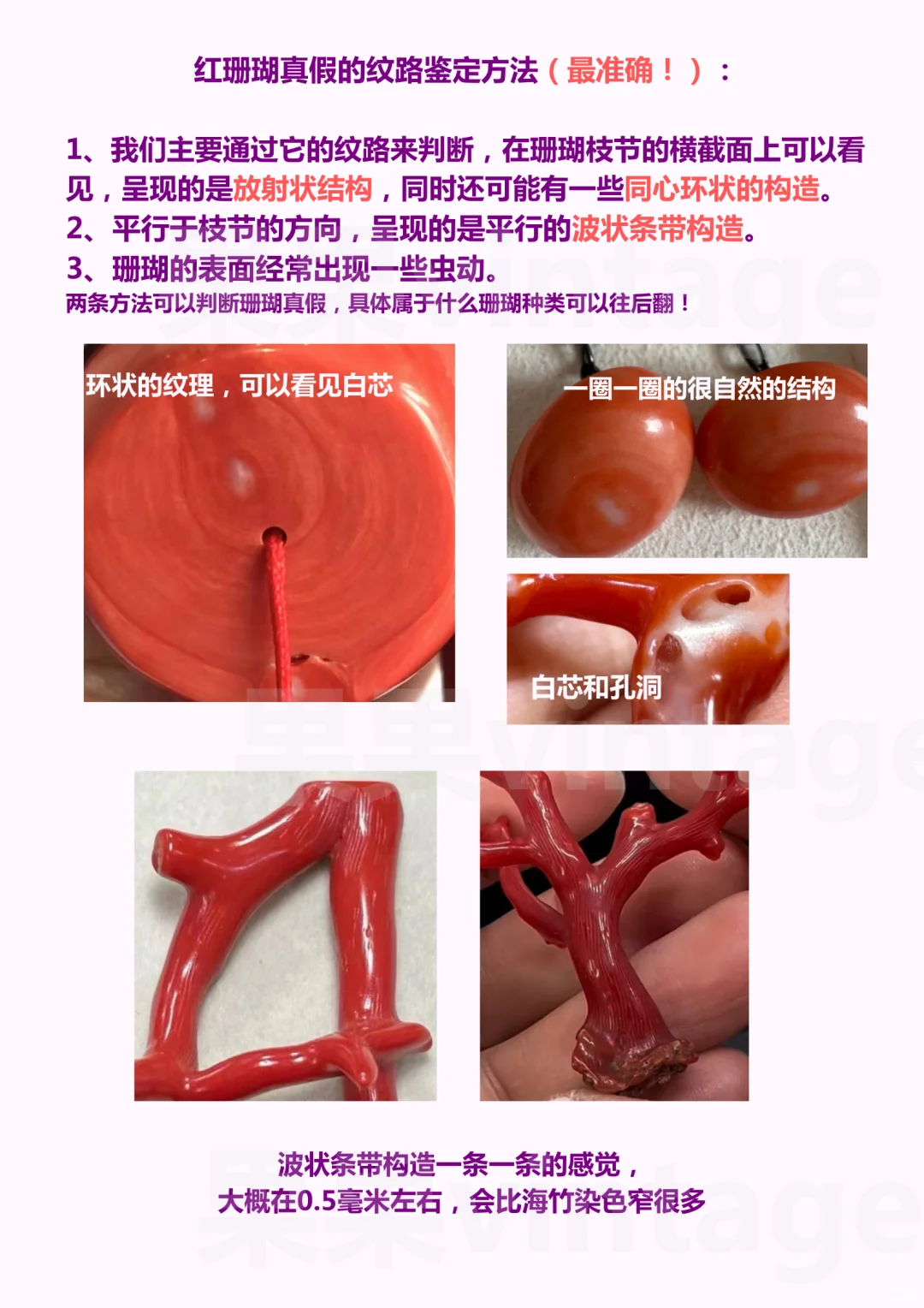 主包整理的关于珊瑚的天才指南！