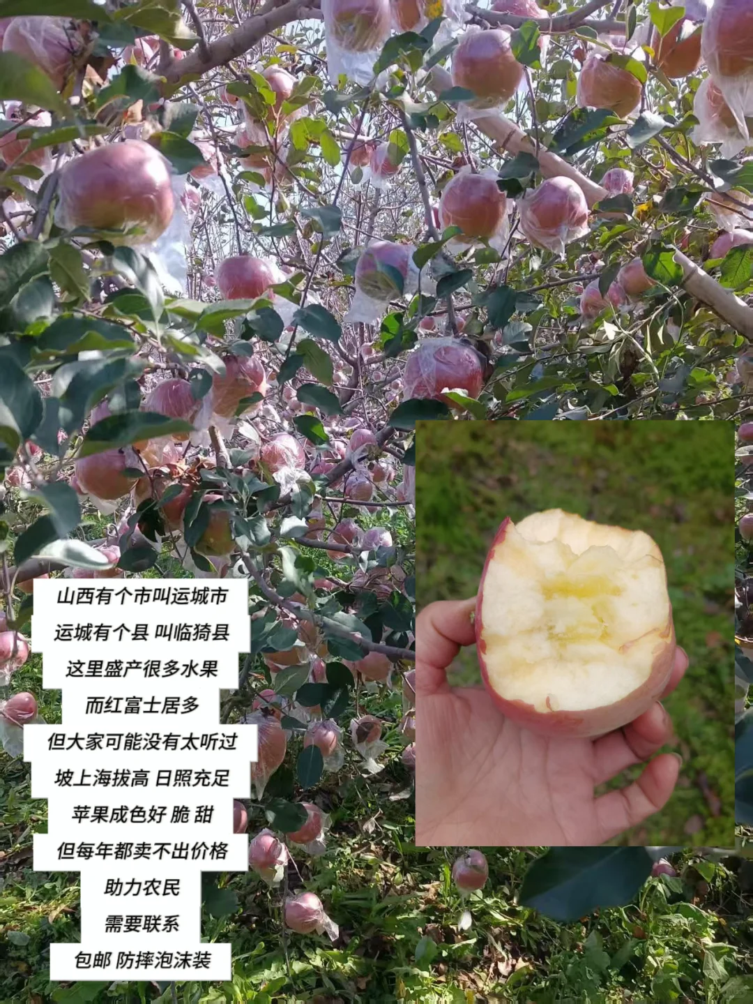 被这颗苹果惊艳到了！！！