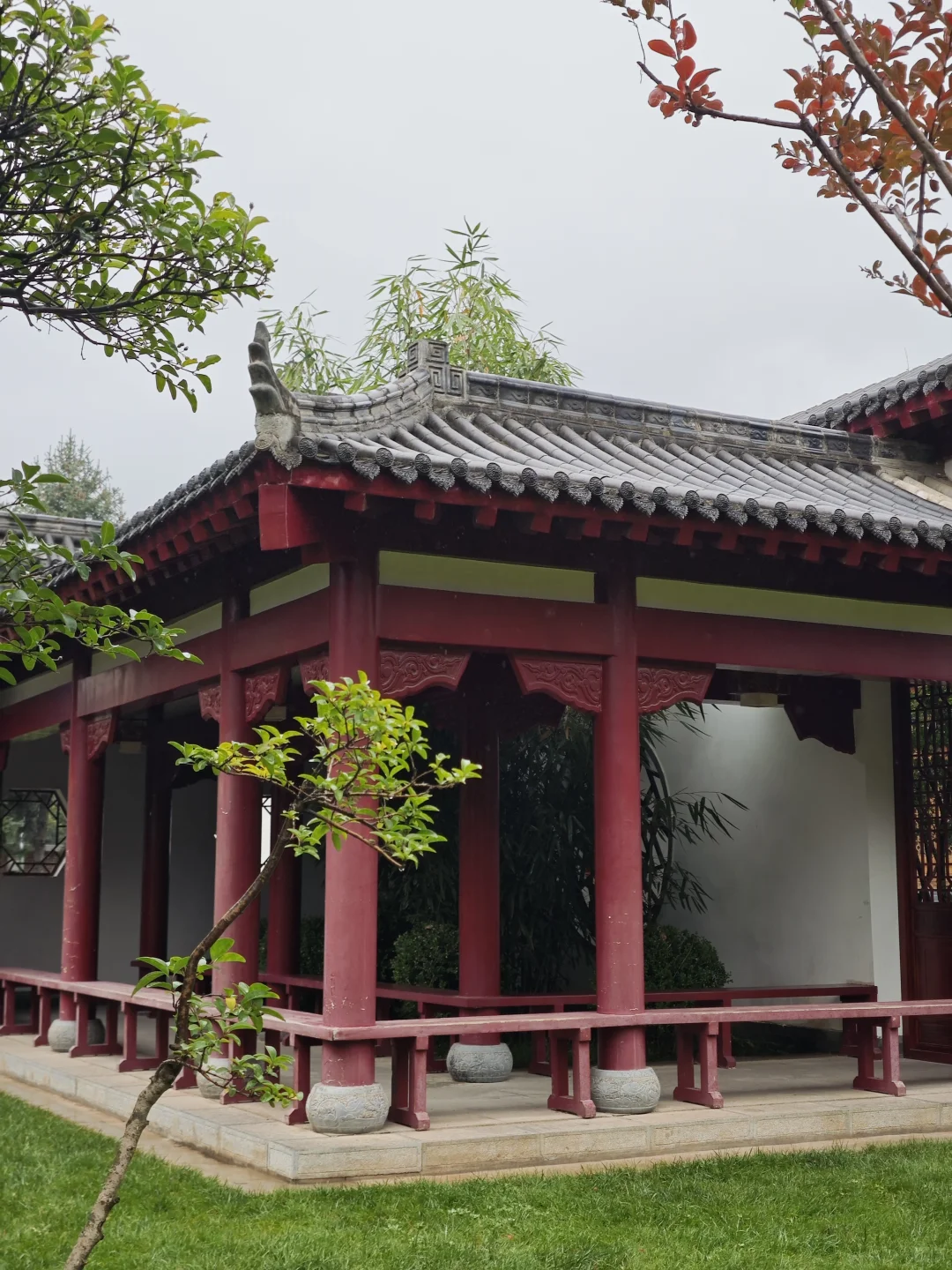 一不小心爱上了这所校园～