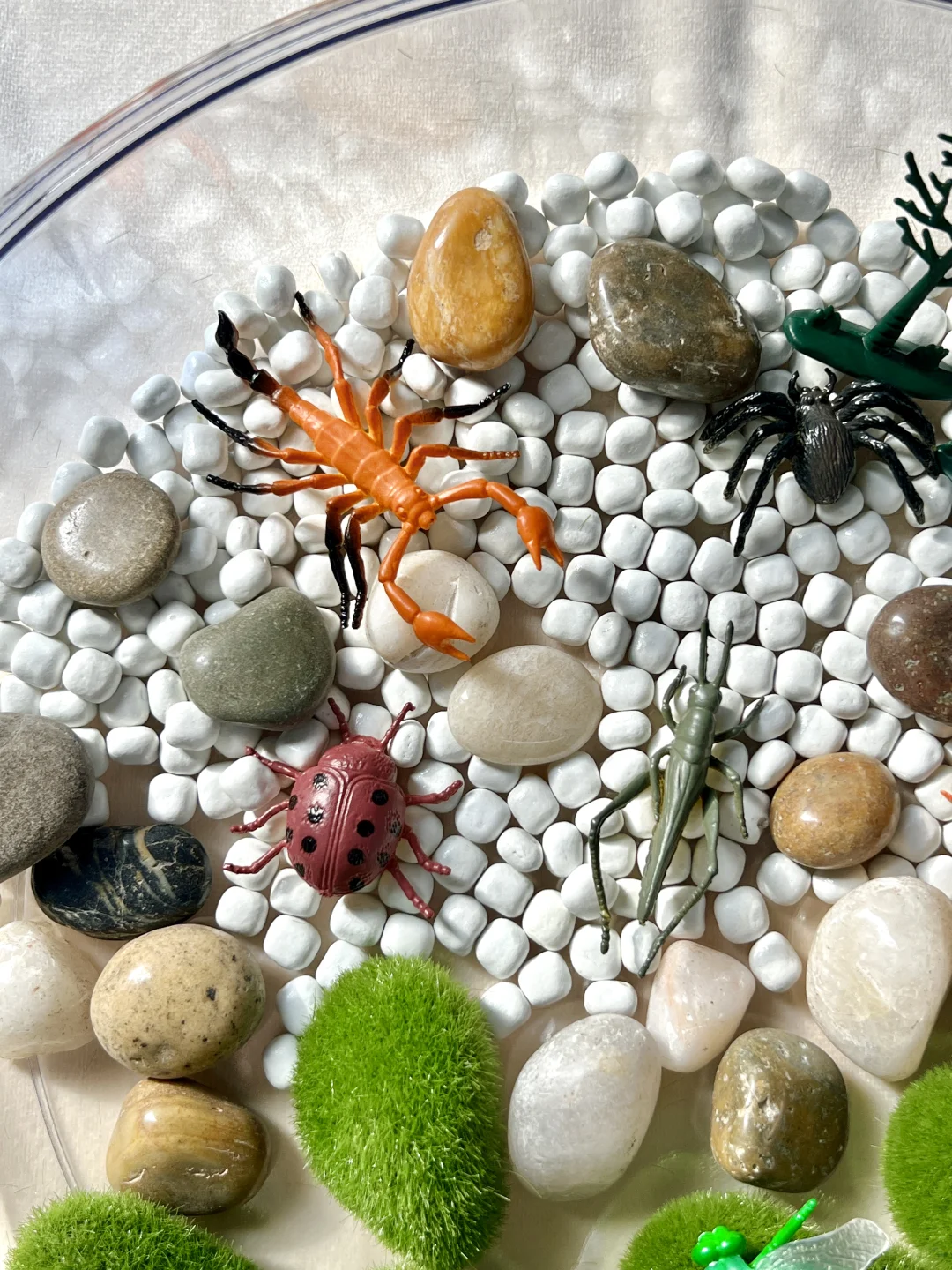 早教感官盆！陪宝宝快乐过家家~