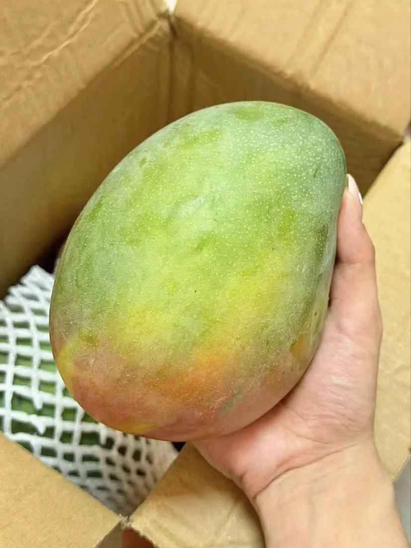 分享近期买到好吃的水果????