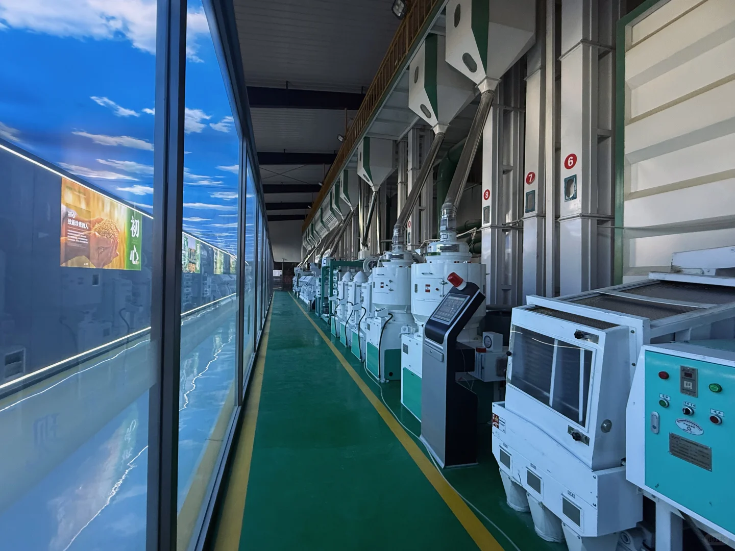 金小稻｜五常大米工厂实拍