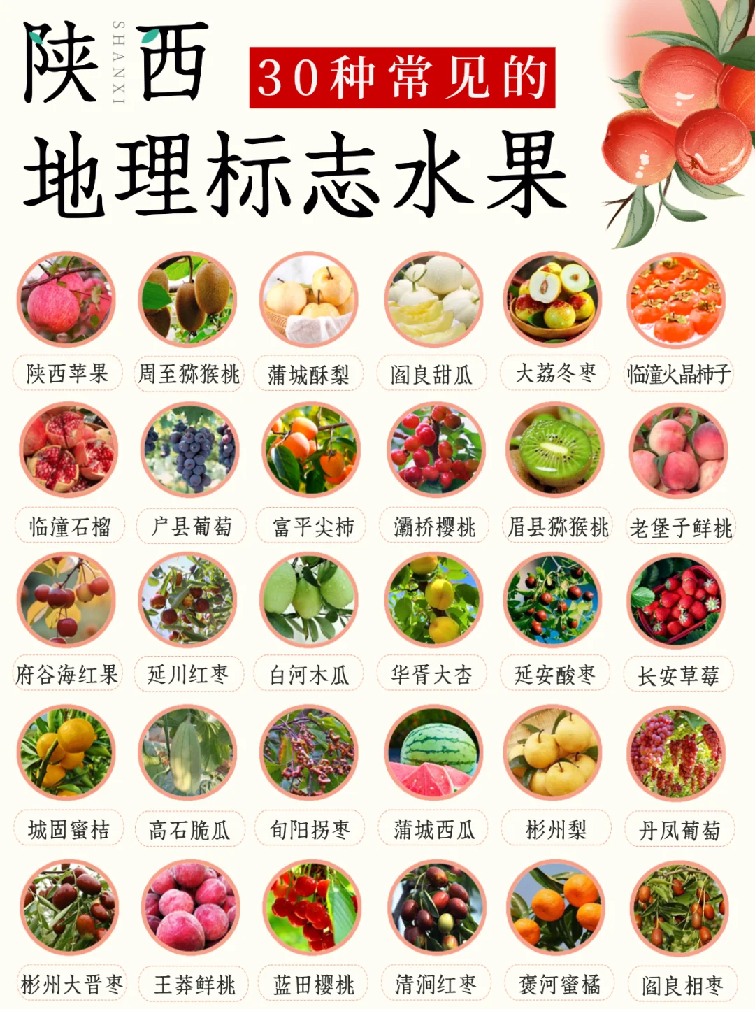 陕西水果图鉴丨三秦大地藏着哪些好吃的水果