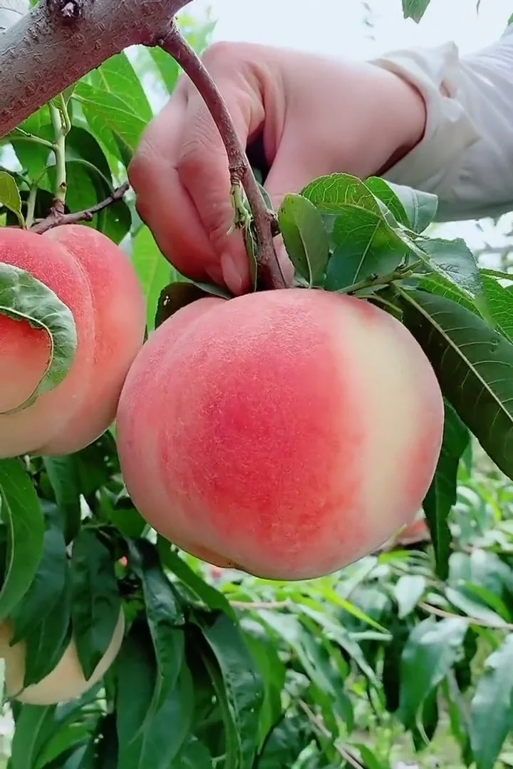 这个夏天太喜欢了！