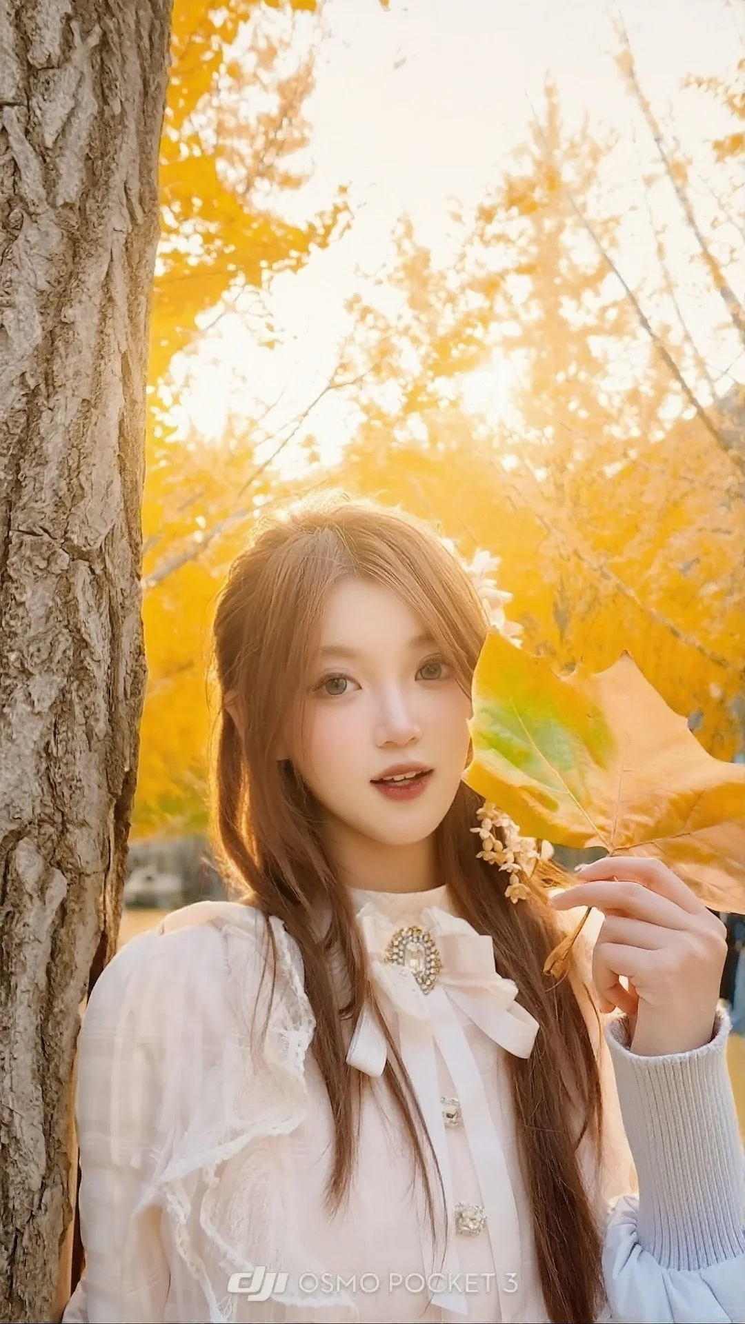 07女大｜北林大一 光の宠儿