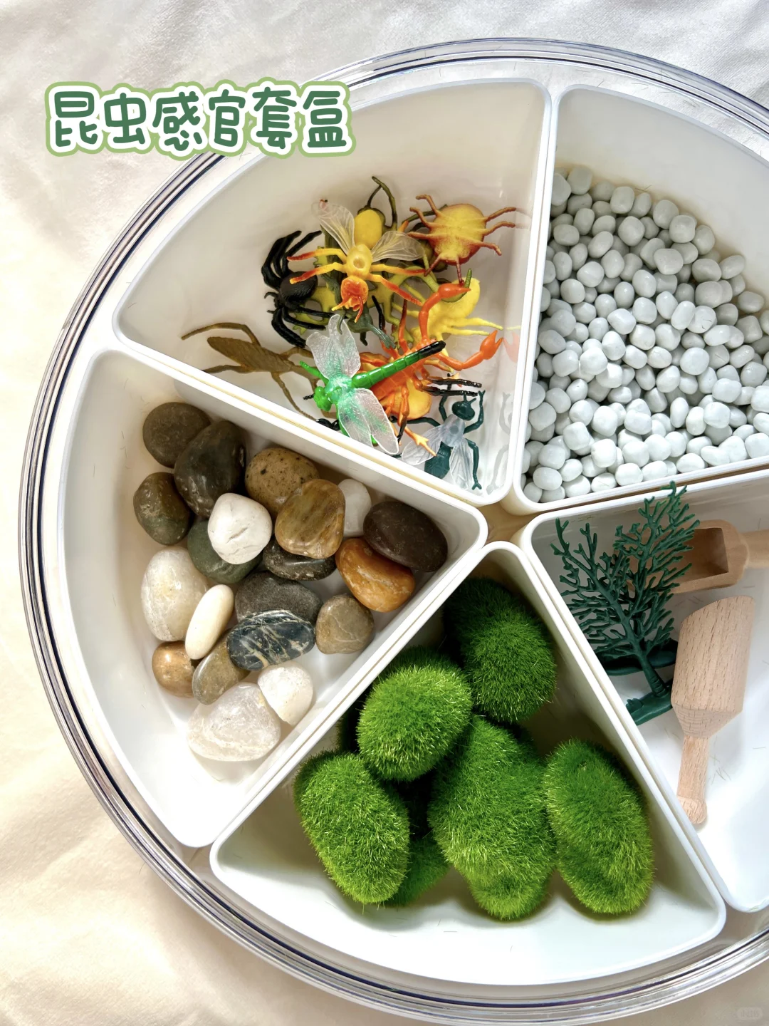 早教感官盆！陪宝宝快乐过家家~