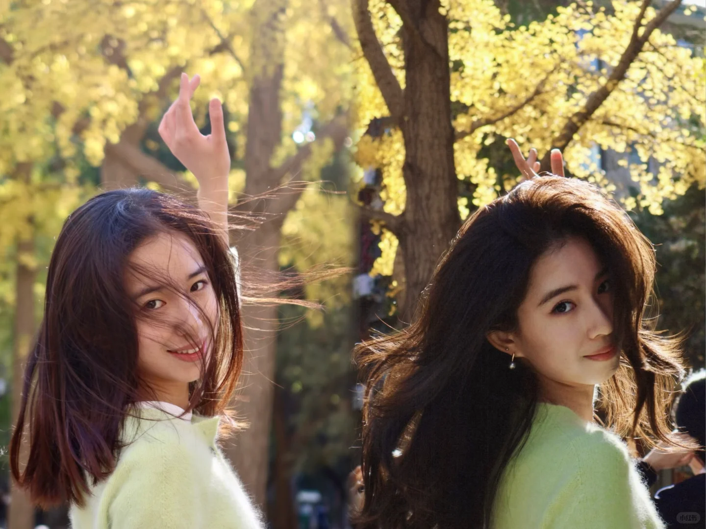 请回答2⃣️0⃣️2⃣️3⃣️（右滑）