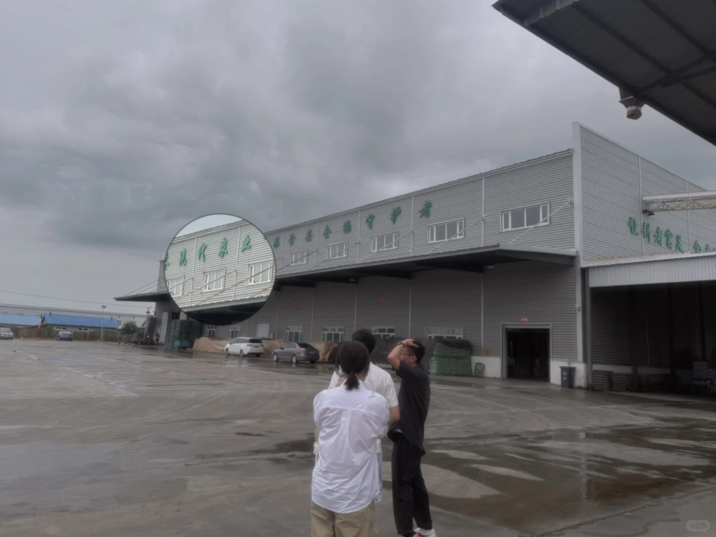 金小稻｜五常大米工厂实拍