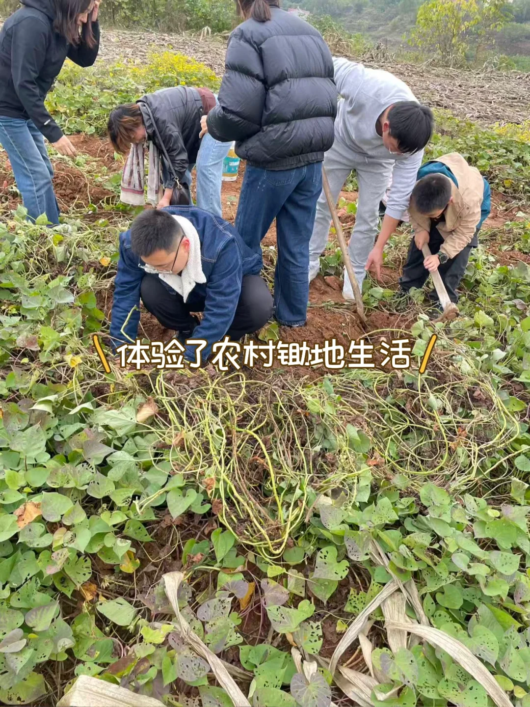 石家庄周末|山里|吸氧|采摘|遛娃