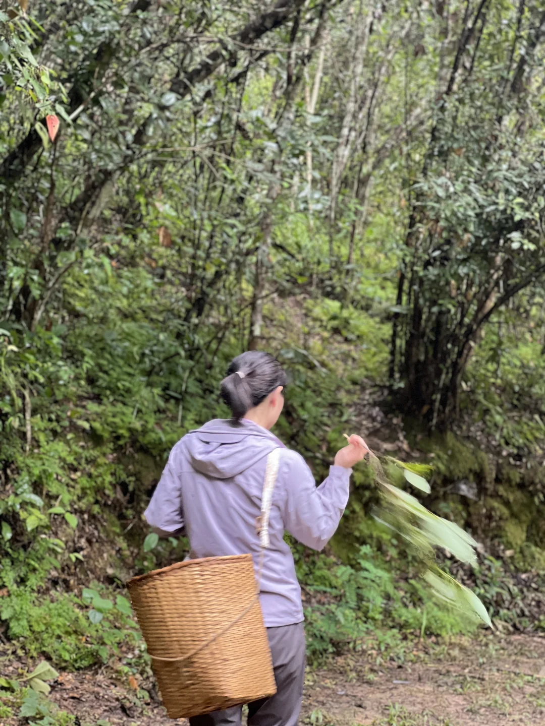 庆幸自己拥有独自探索世界的习惯与能力