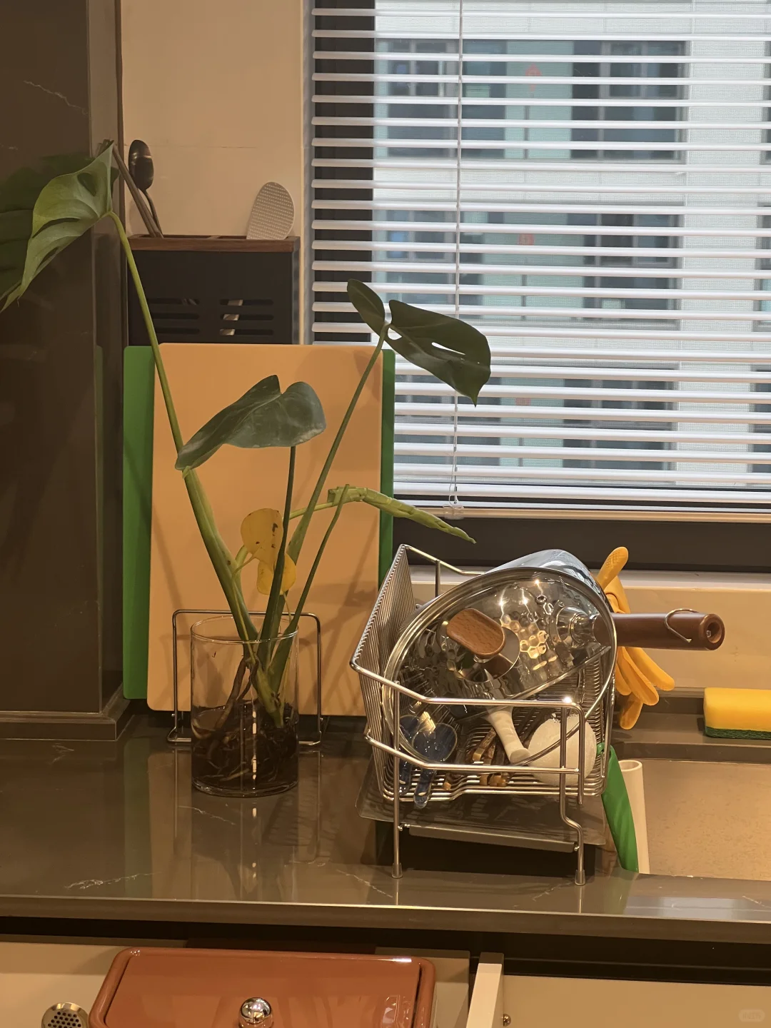 厨房里竟然有…..??