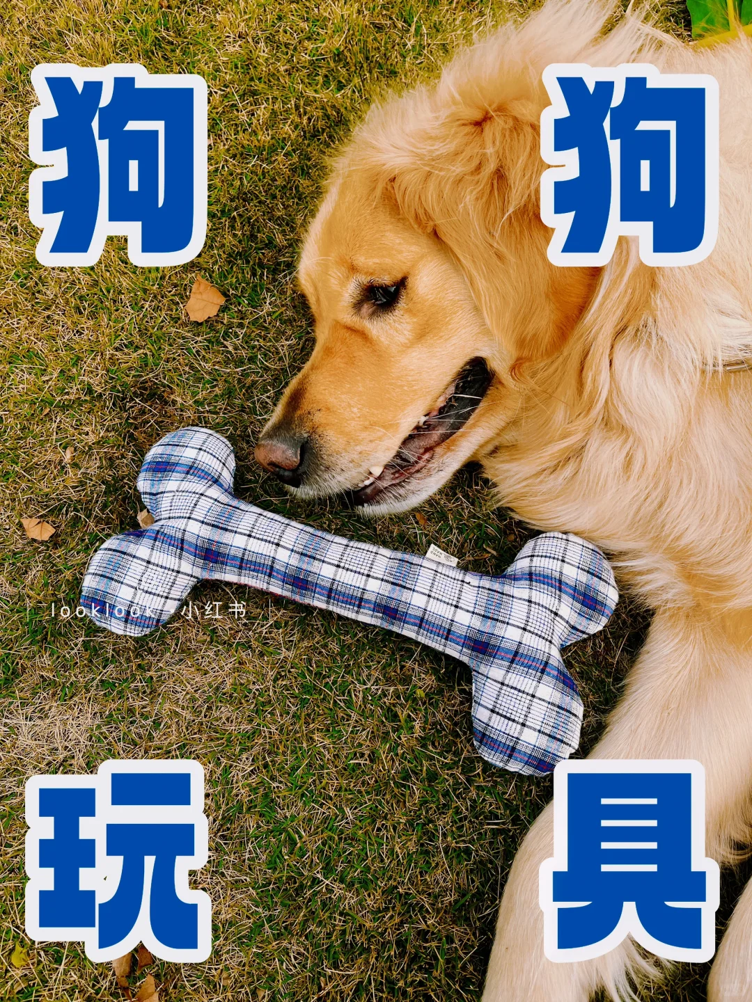 两块布就可以自制狗狗玩具，详细教程来咯?