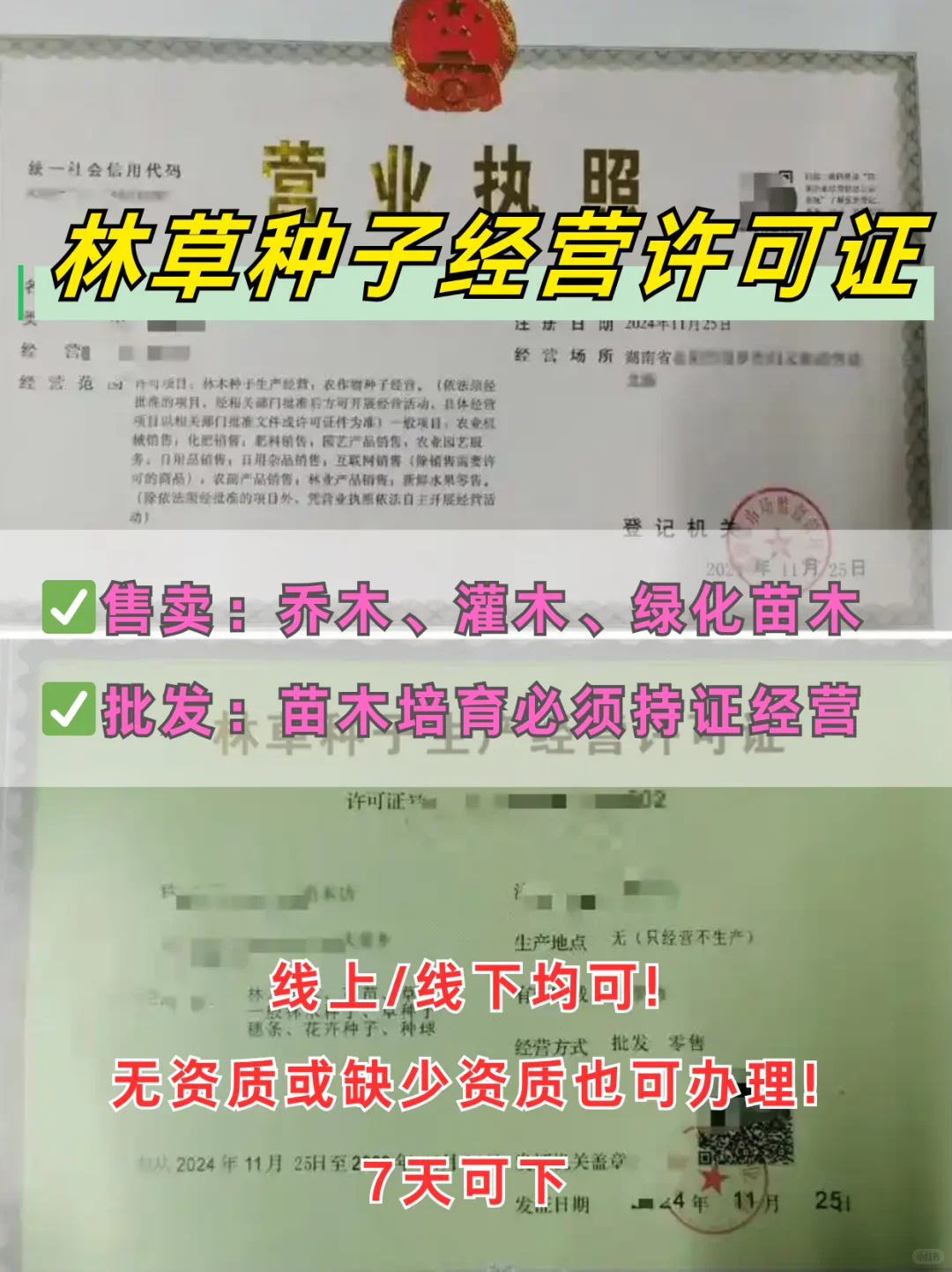 做电商卖苗木种子，没林木种子许可证不行❌