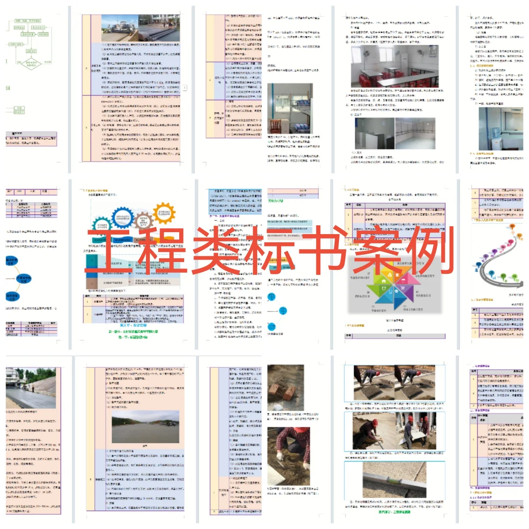 自家工程类标书，专业度拉满！?