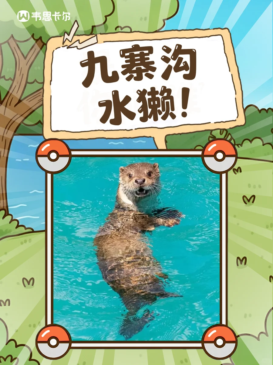 ?九寨沟神秘候选人曝光！TA是谁？?