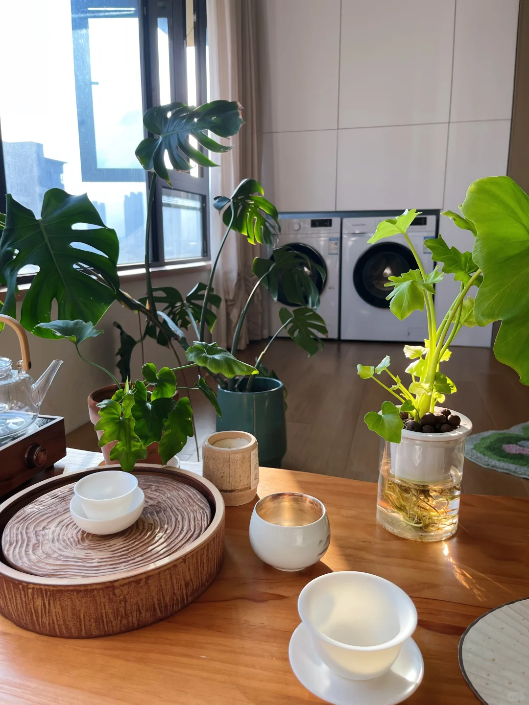 美到不想出门✨我的家真的会发光