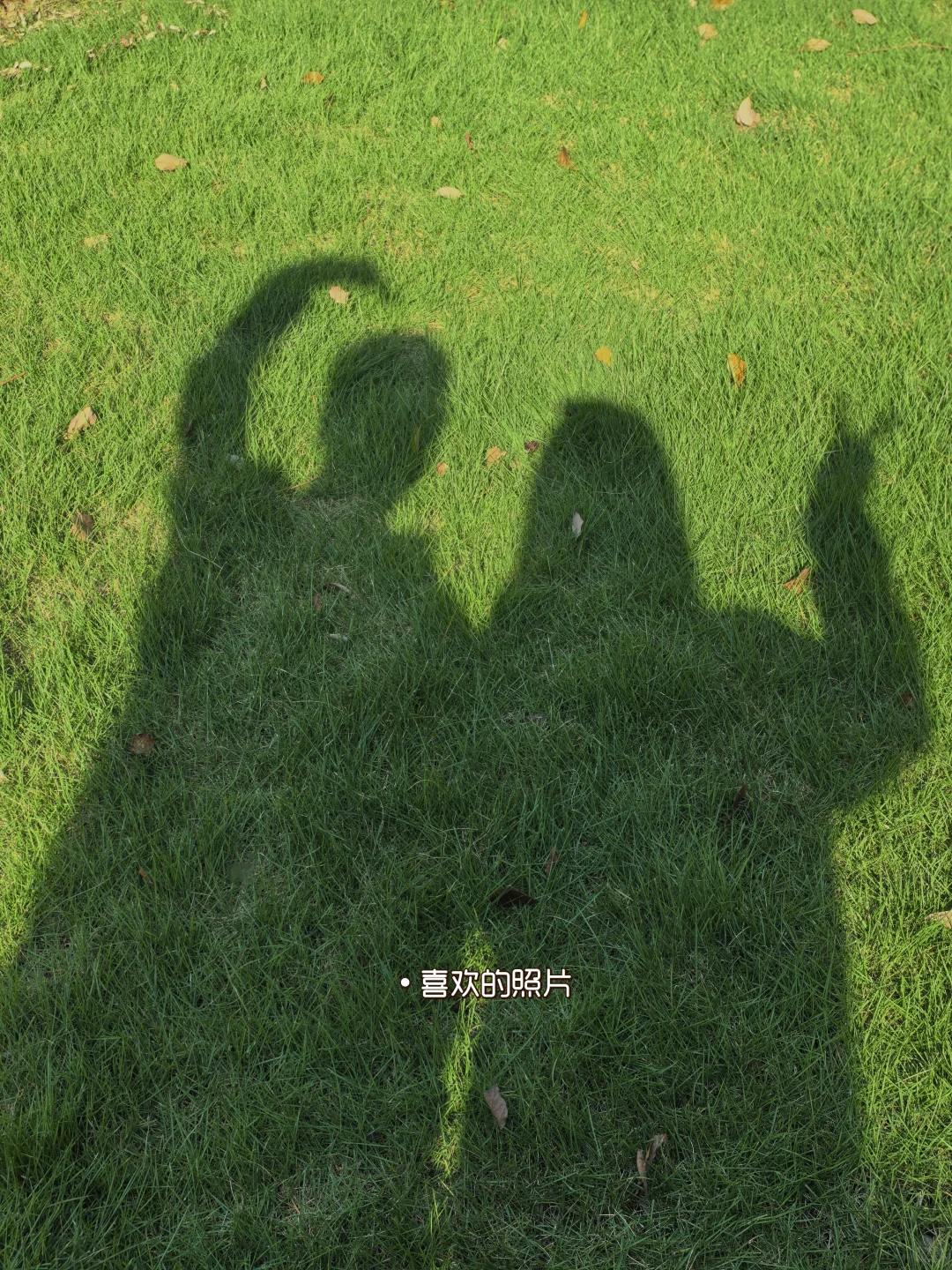 小家抗压指南：吃饱再爱