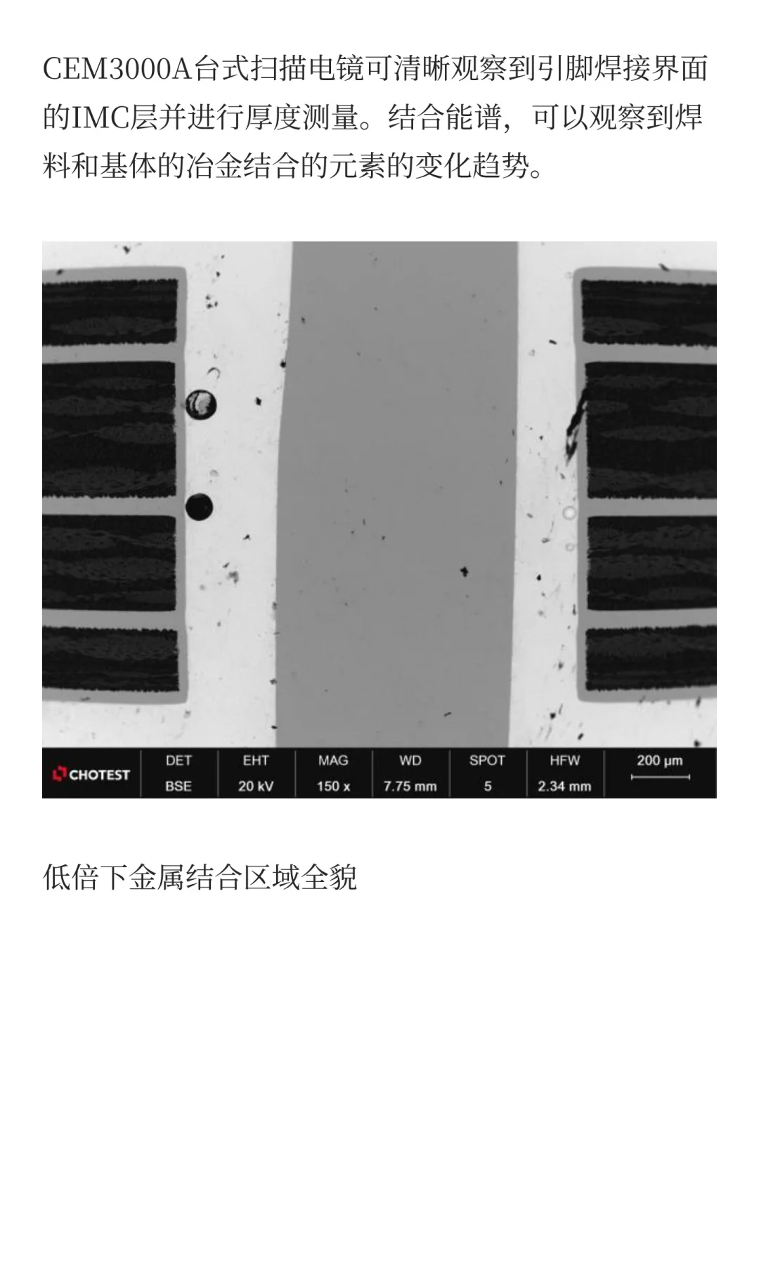 SEM扫描电镜攻略:从需求到选型的核心逻辑