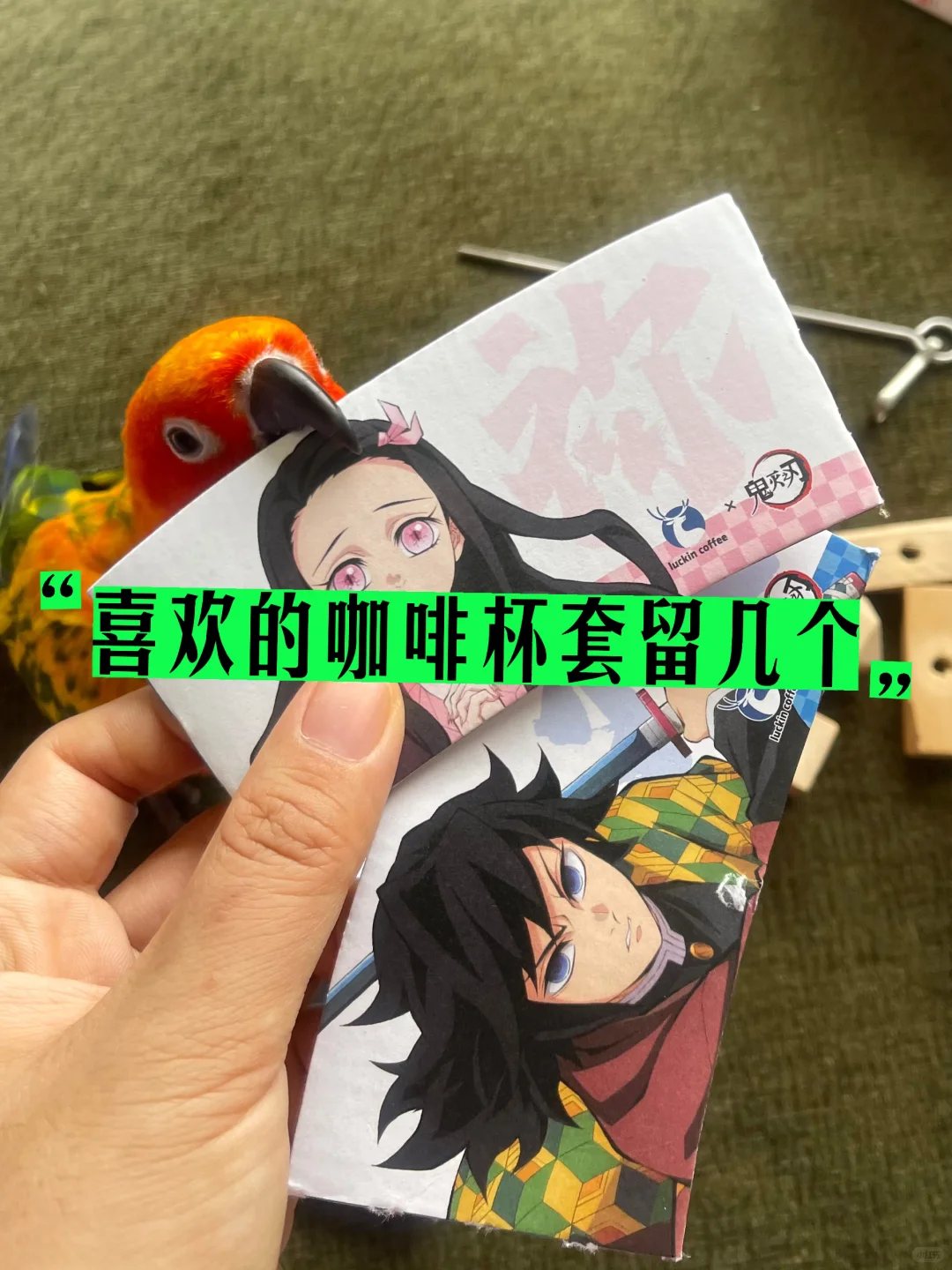 不花钱的DIY鹦鹉玩具，有手就会做