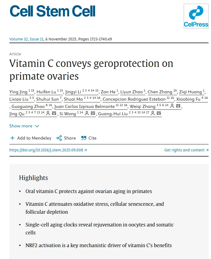便宜且有效！维生素c显著抗衰延缓卵巢衰老