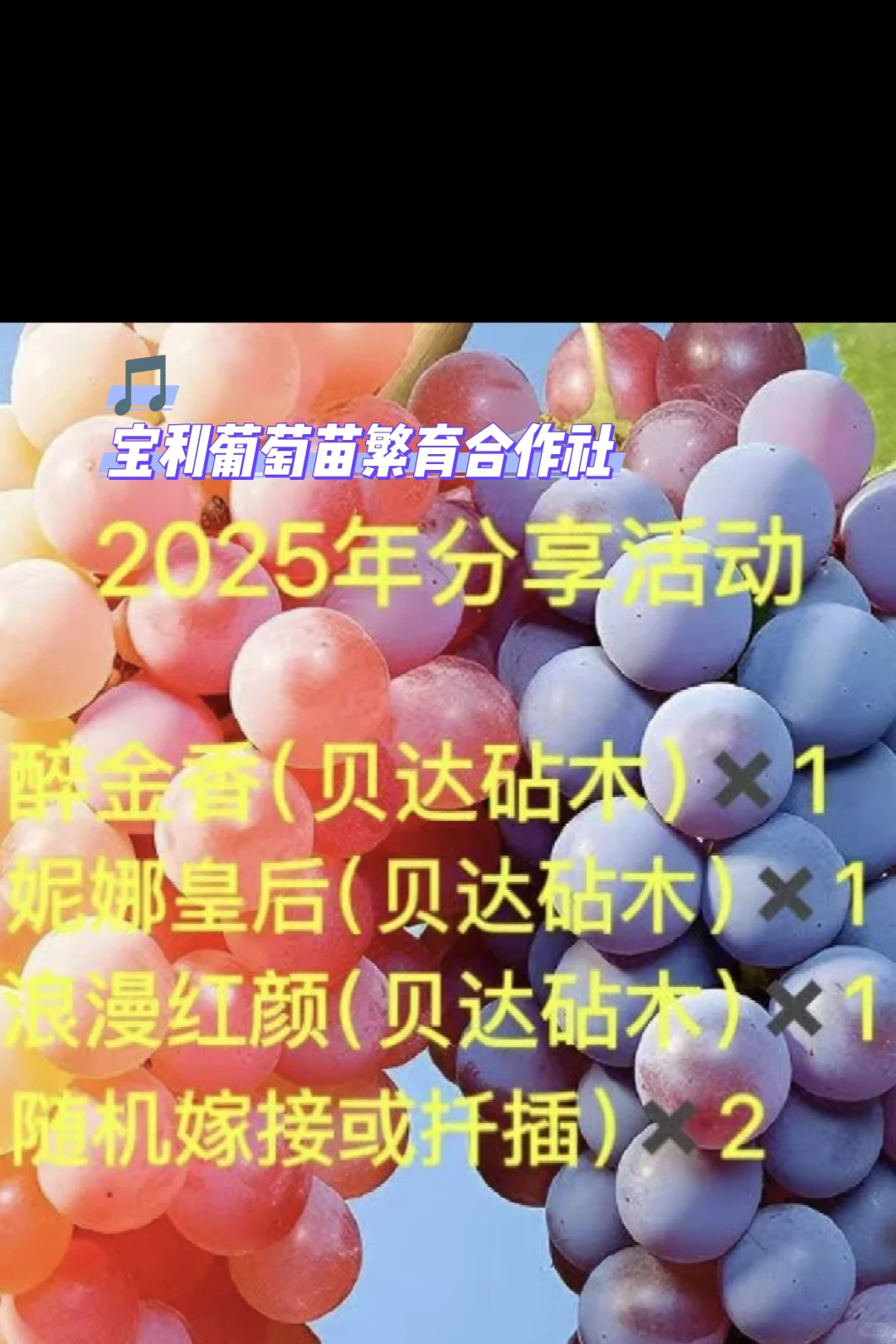 葡萄苗靠谱店铺大全（2块一棵，快冲）