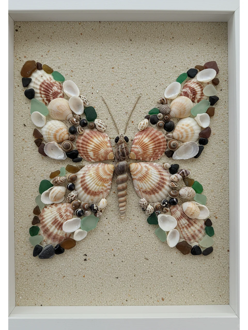 ?一秒穿越到海边!?贝壳DIY蝴蝶?