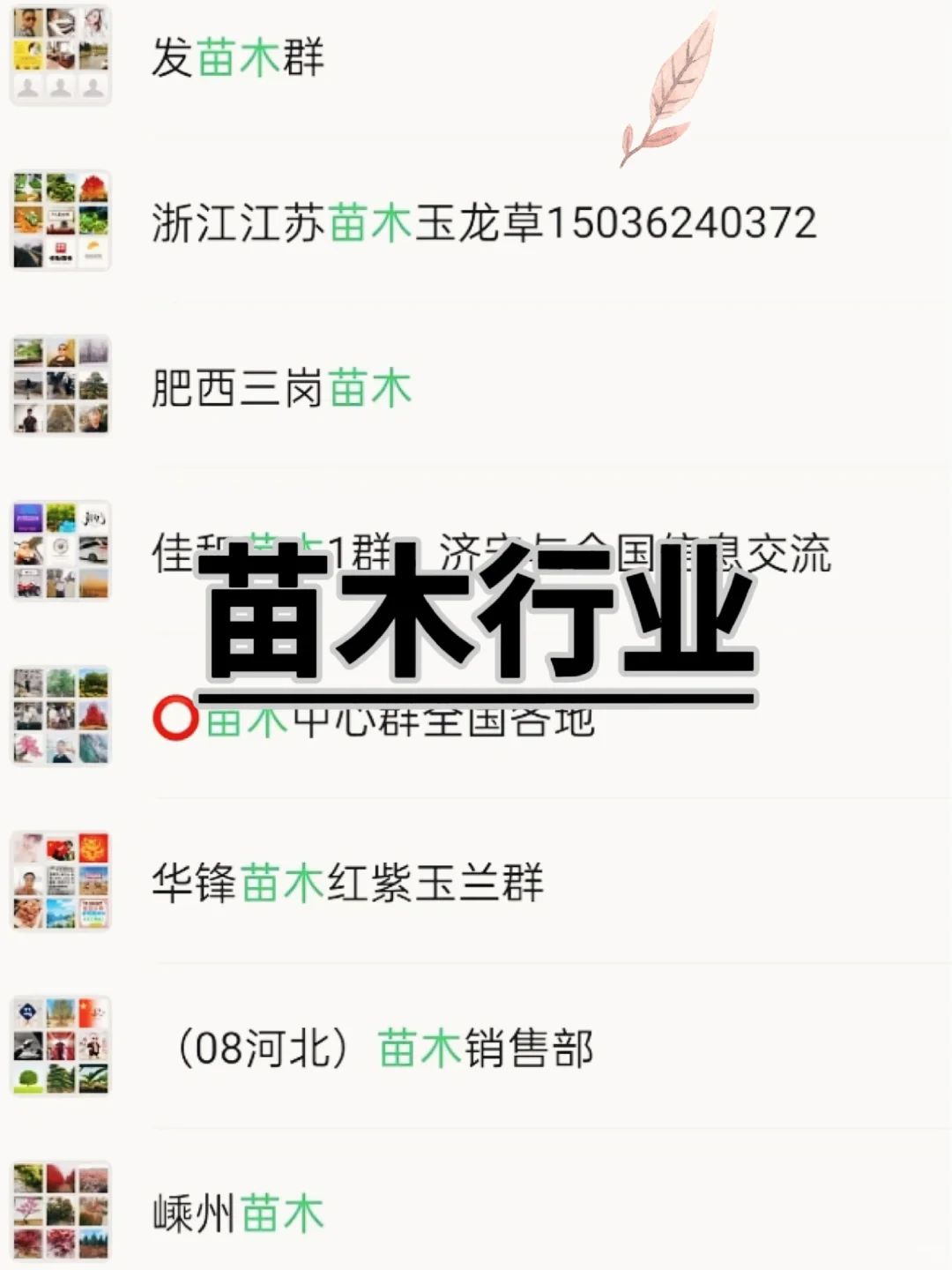 ?苗木人看过来！这些交流群藏着行业密码