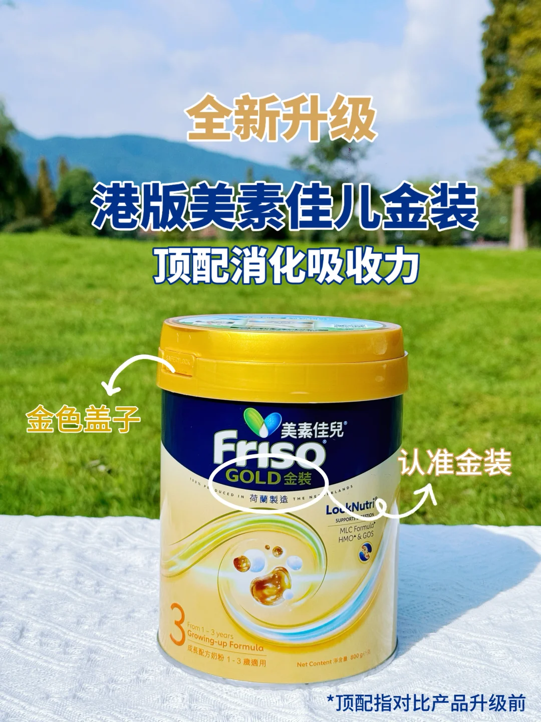 养成元气肉宝的秘诀：选对“肚肚神队友！